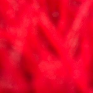 Meet your Posher, Bertha